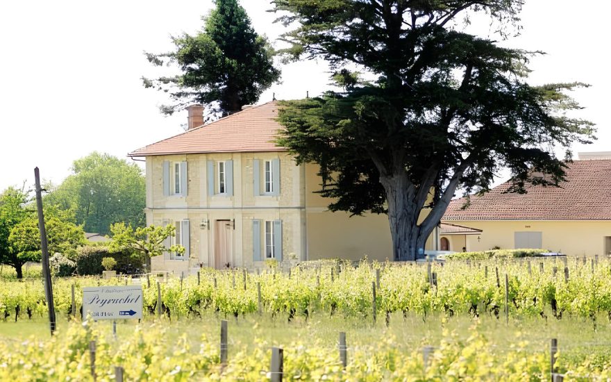 CHATEAU GRAND PEYRUCHET